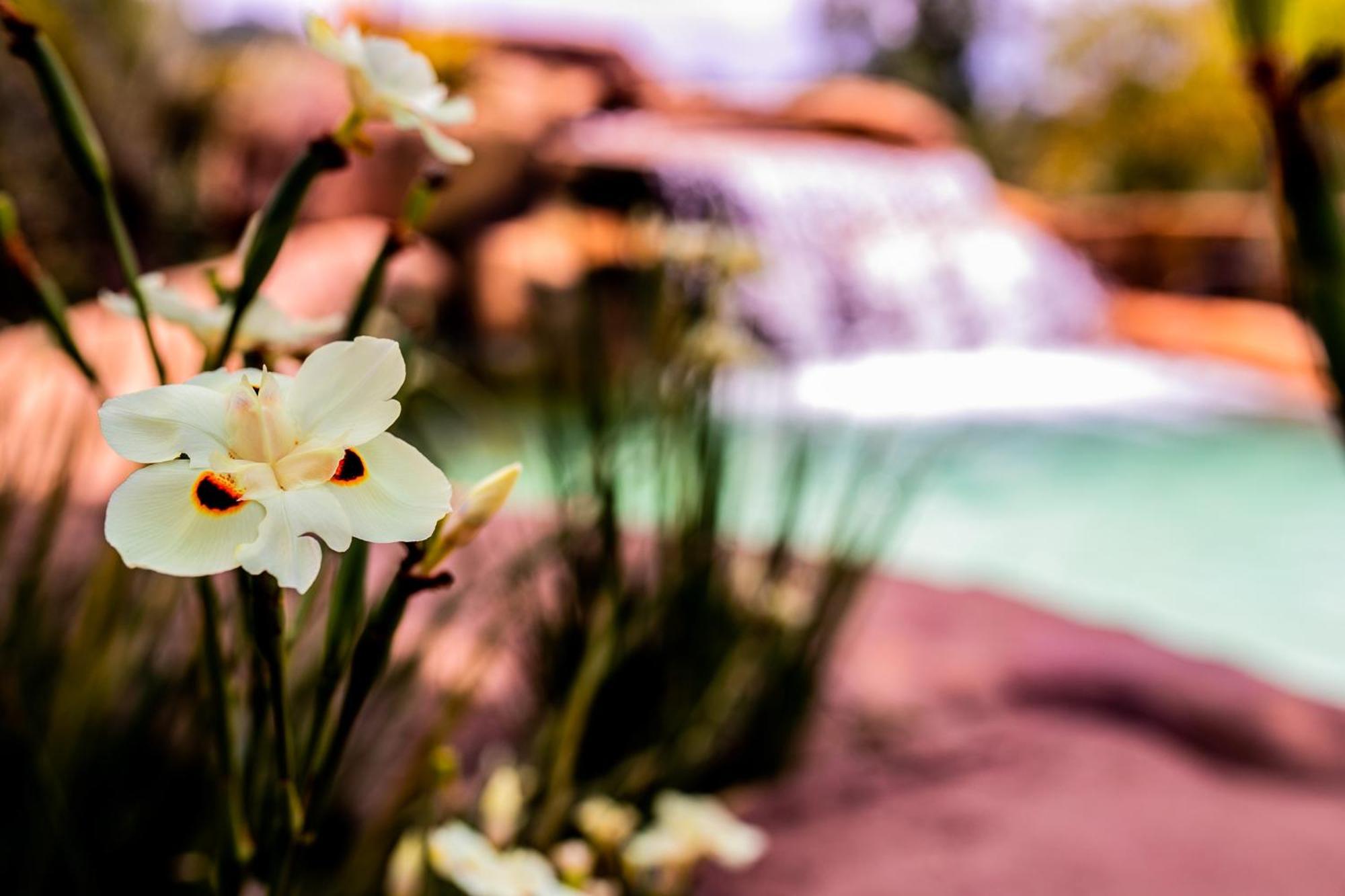 Hotel Fazenda Horizonte Belo Brumadinho Exterior foto